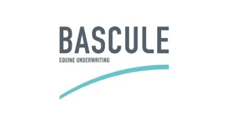 Bascule